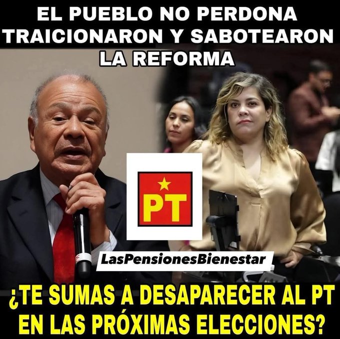 Estela Díaz tweet media