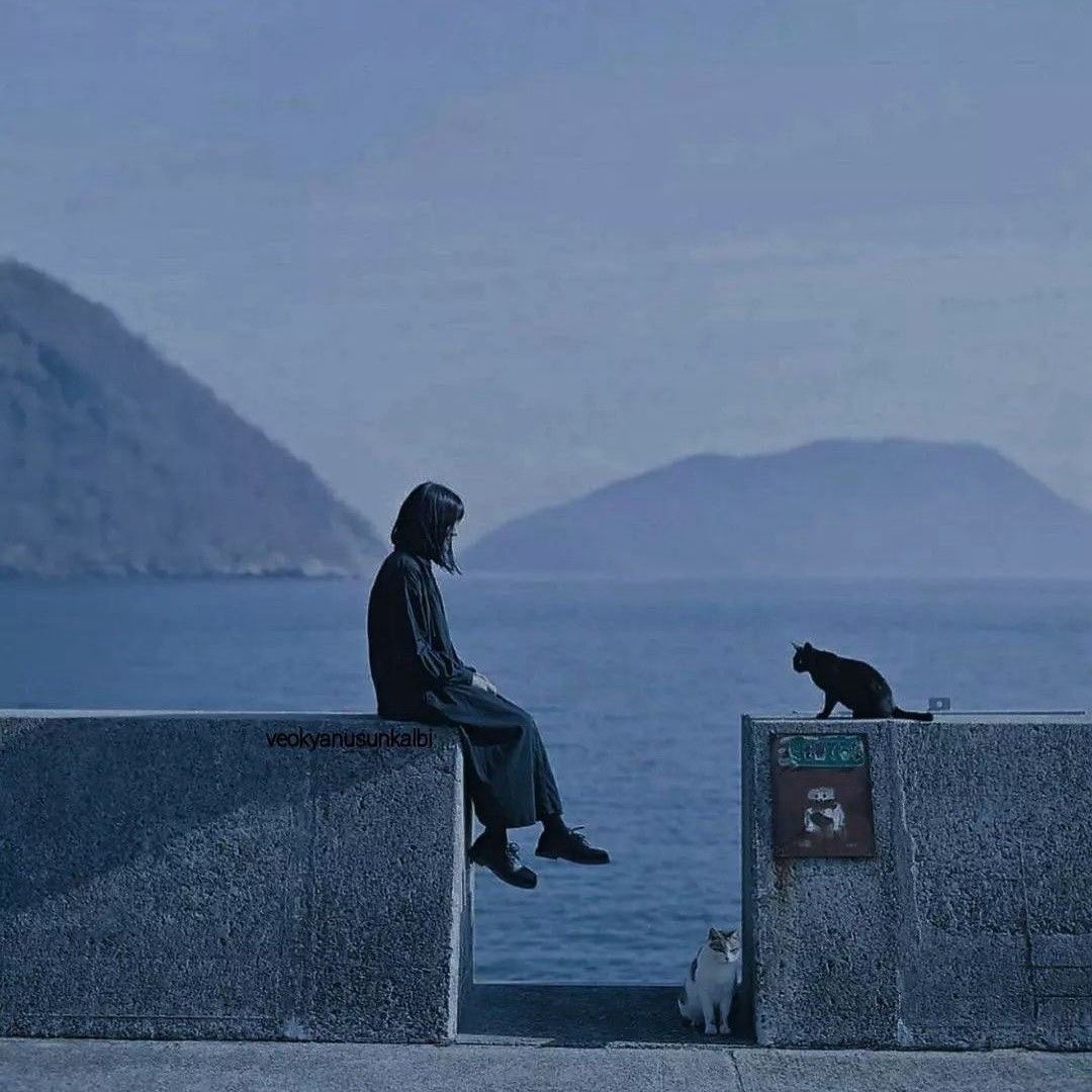 raskólnikov tweet media