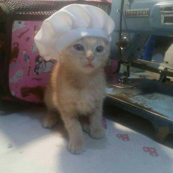 Psycholégiste ⚖️🧠 tweet media