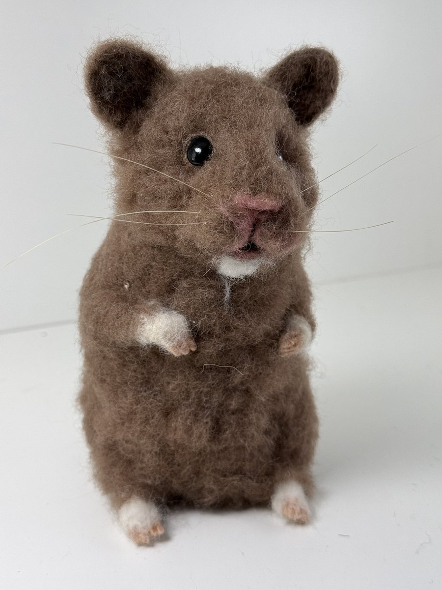 Fiona Finlayson Art tweet media