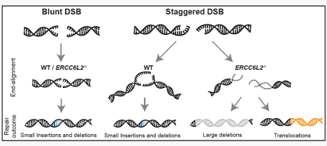 Jacob Corn tweet media