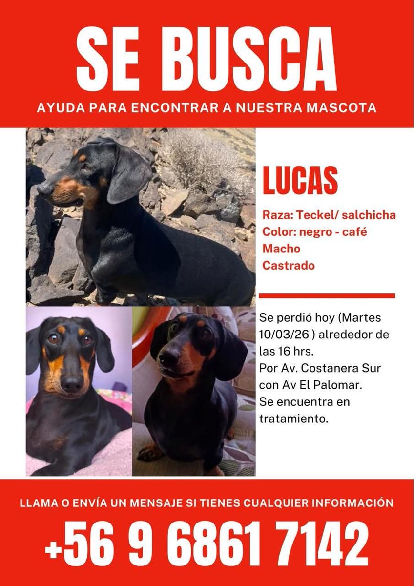 Atención #Copiapo buscan a Lucas. Favor RT! Gracias