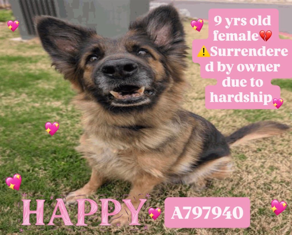 Aurora ⸆⸉ misses Liam ❯❯❯❯ tweet media