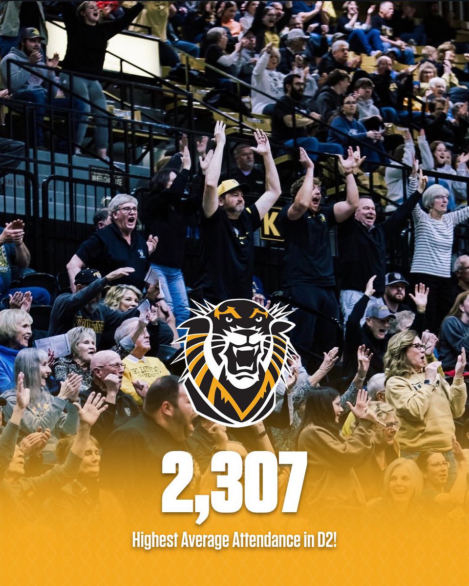 Tiger Hoops tweet media