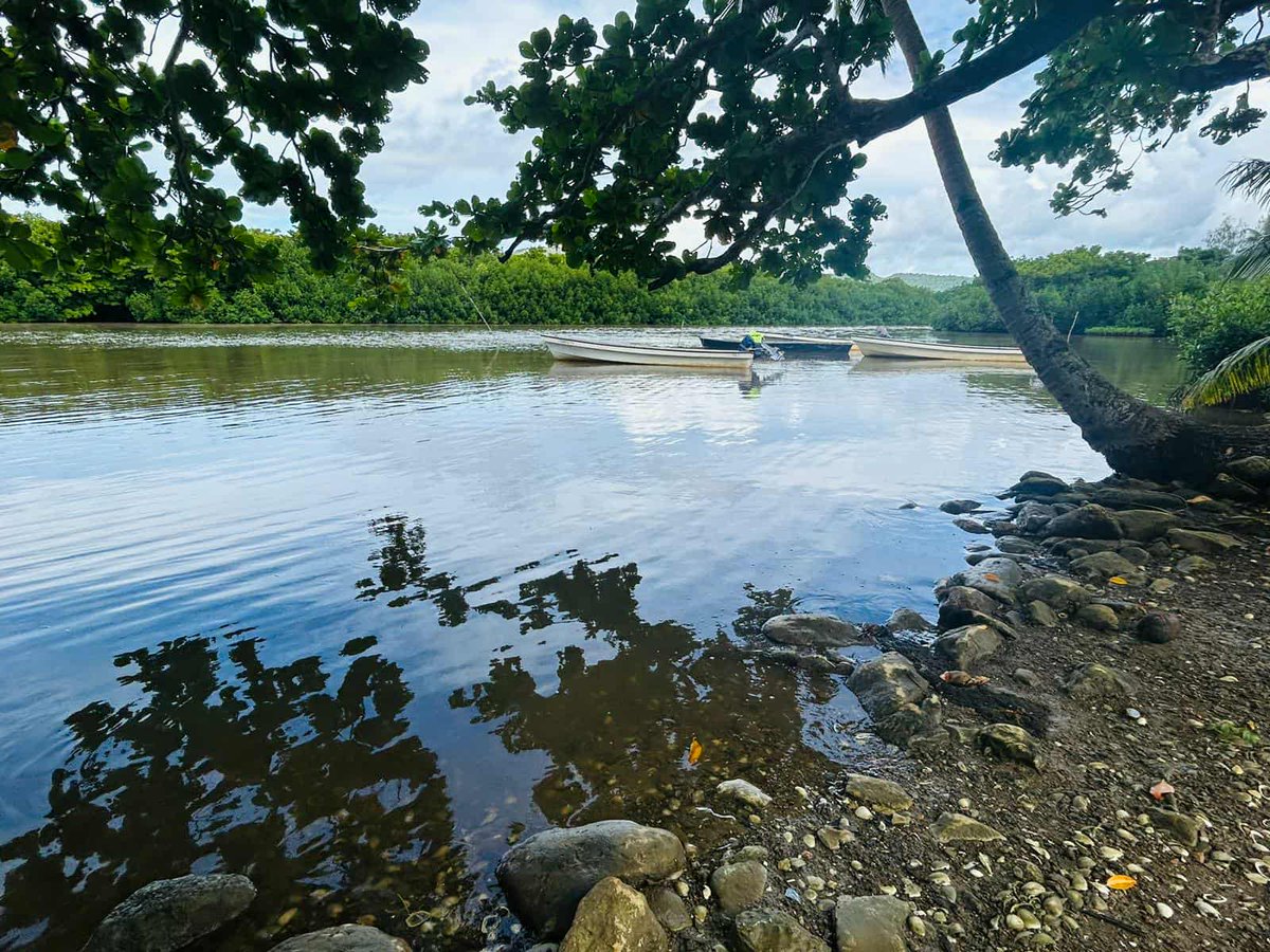 4FJ Fish Smart tweet media