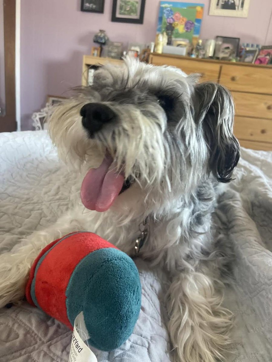 Sara Mary ⭐❤️ tweet media