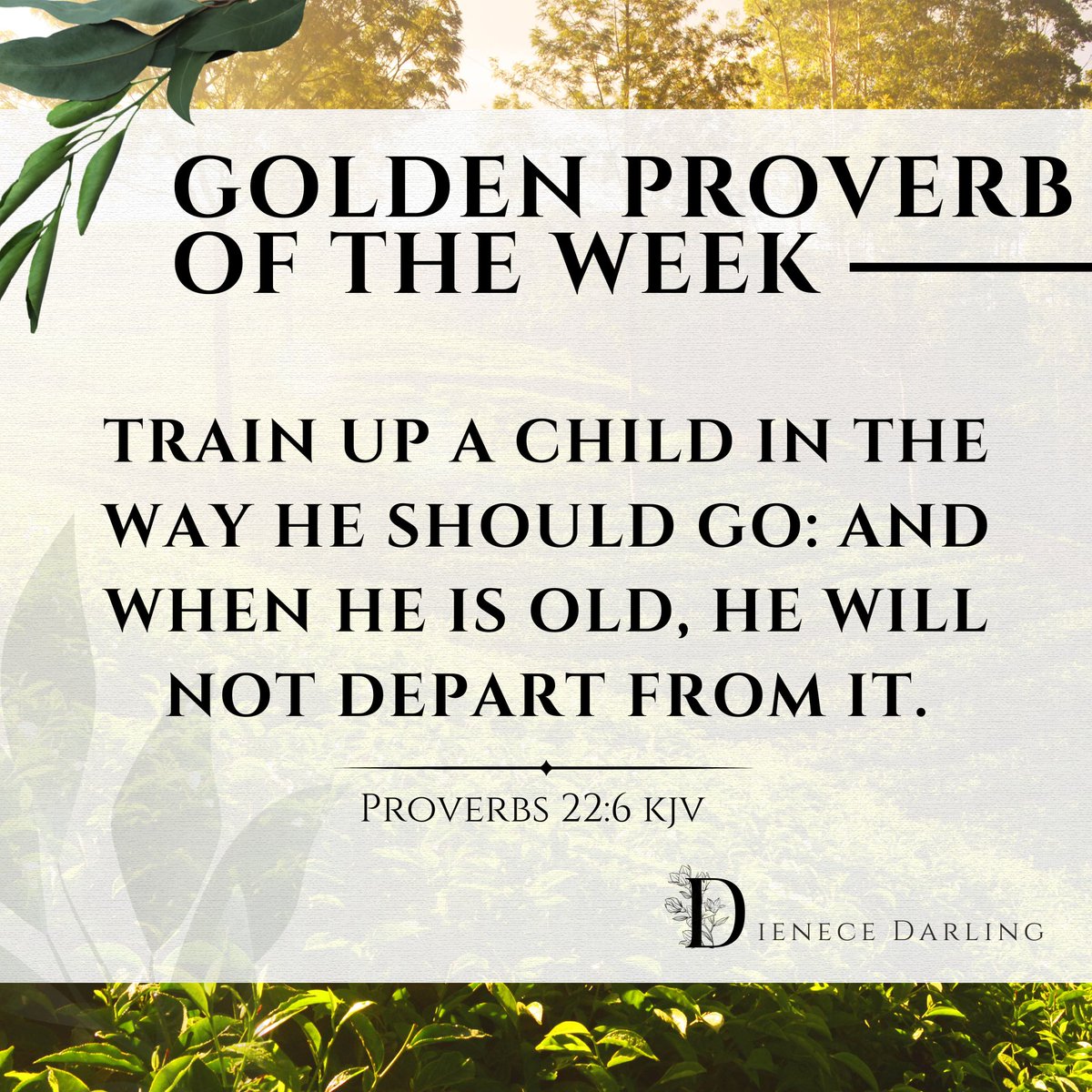 Dienece Darling tweet media