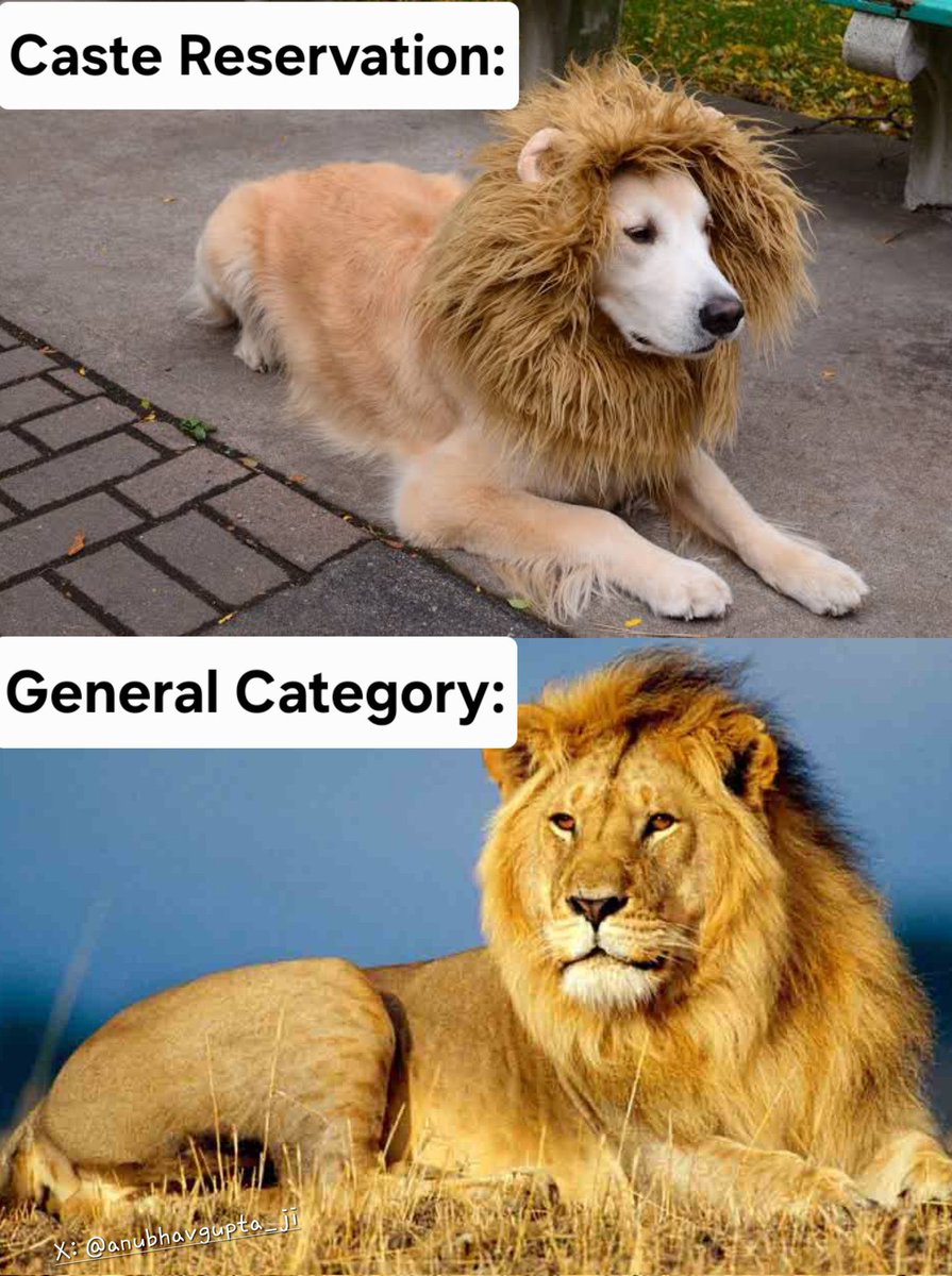 ZIDDI LADKA tweet media