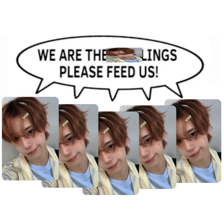 xlovharu's tweet photo. 🍰 . 𖦹˙— ISO | WTB
I WILL KPOPNARA EXCLUSIVE HARU POB
── ⟡ ˙🌱 ̟ ˚.
found? : ❌
FLORIDA BASED | US PREFERRED | WW OK
𓍼 please DM twnkeii on insta / xlovharu on twt
for info / method of payment
tags 𓂃 #xlov #wtbxlov #haru #xlovharu #wtbharu #photocard #kpop #iso #wtb https://t.co/66HxW0kazQ