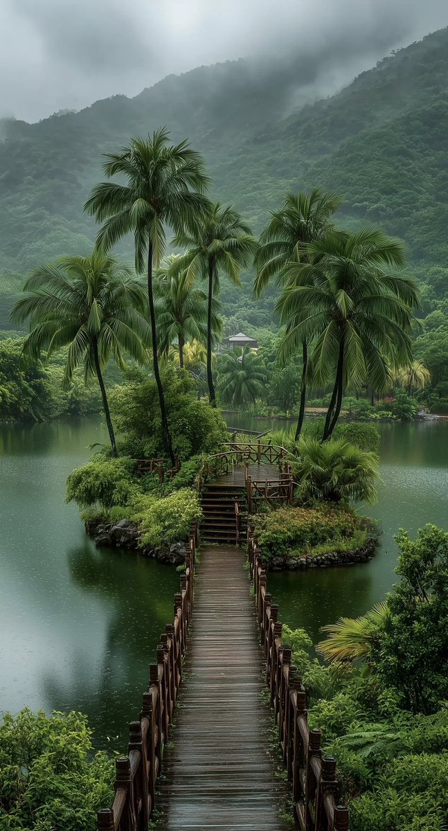 EjazGujjar55's tweet photo. Have a nice day https://t.co/oKZFpkEGtJ