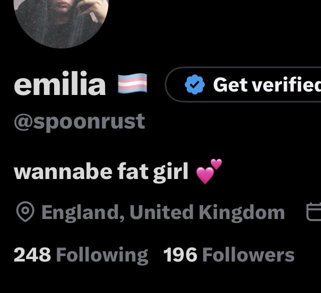 emilia 🏳️‍⚧️ tweet media