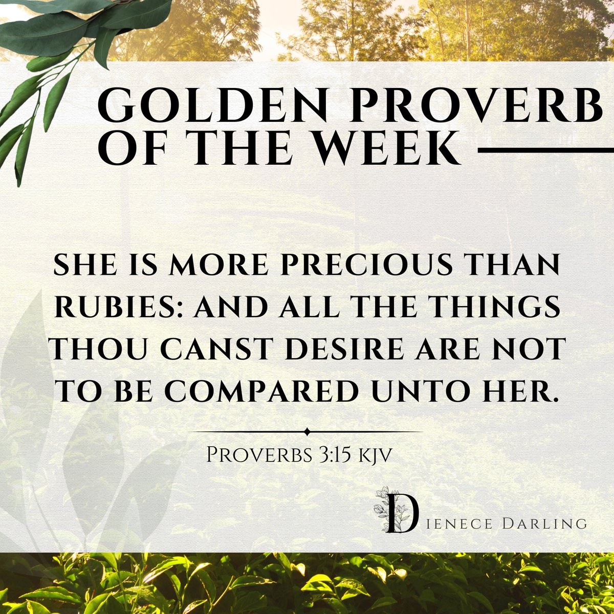 Dienece Darling tweet media