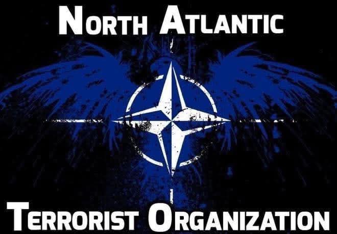 BANDA BASSOTTI (@banda_bassotti) on Twitter photo 