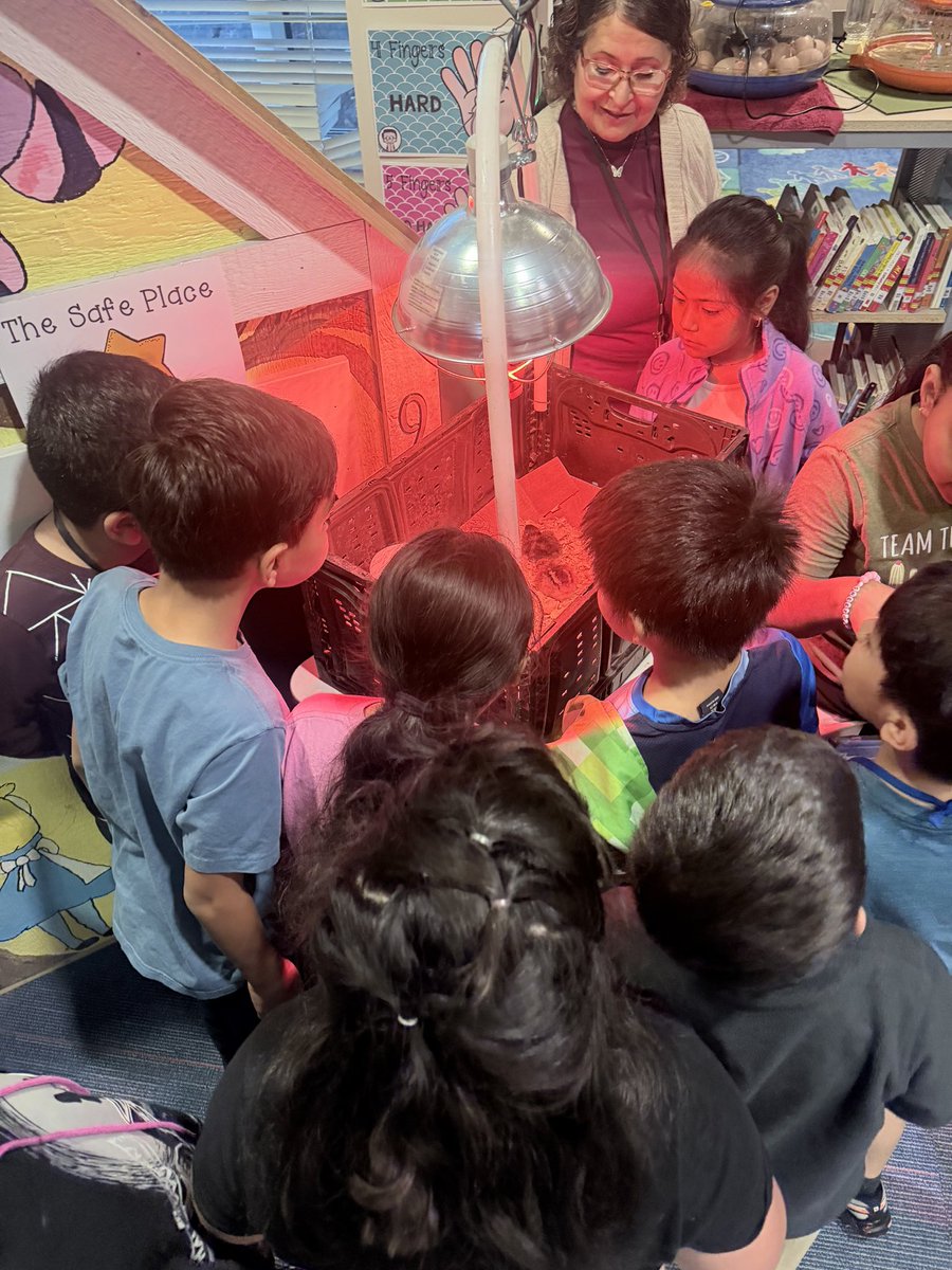 Rocío Paredes tweet media