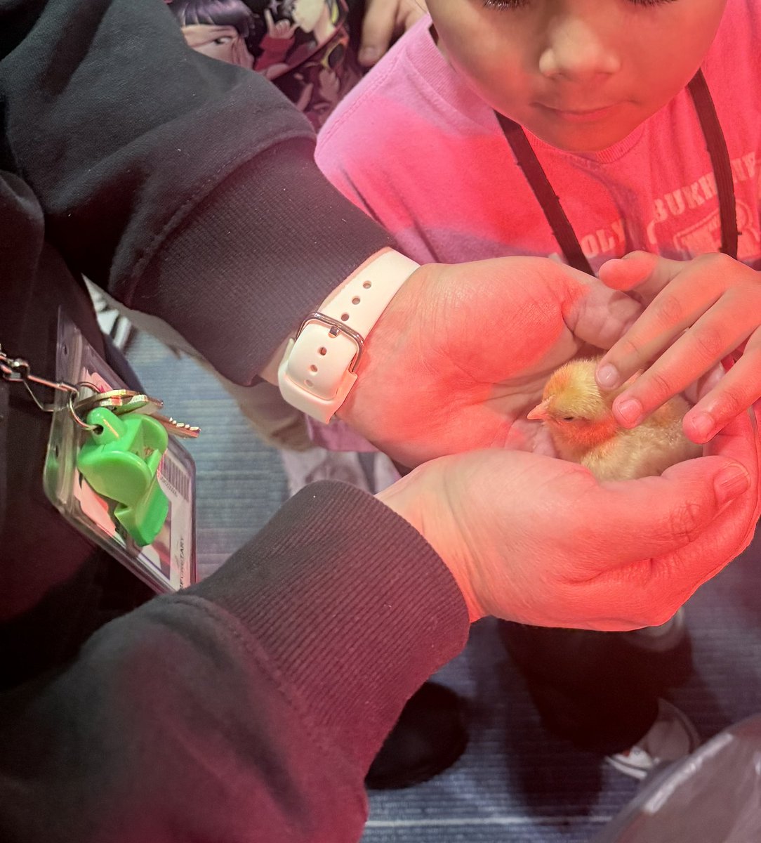 Rocío Paredes tweet media