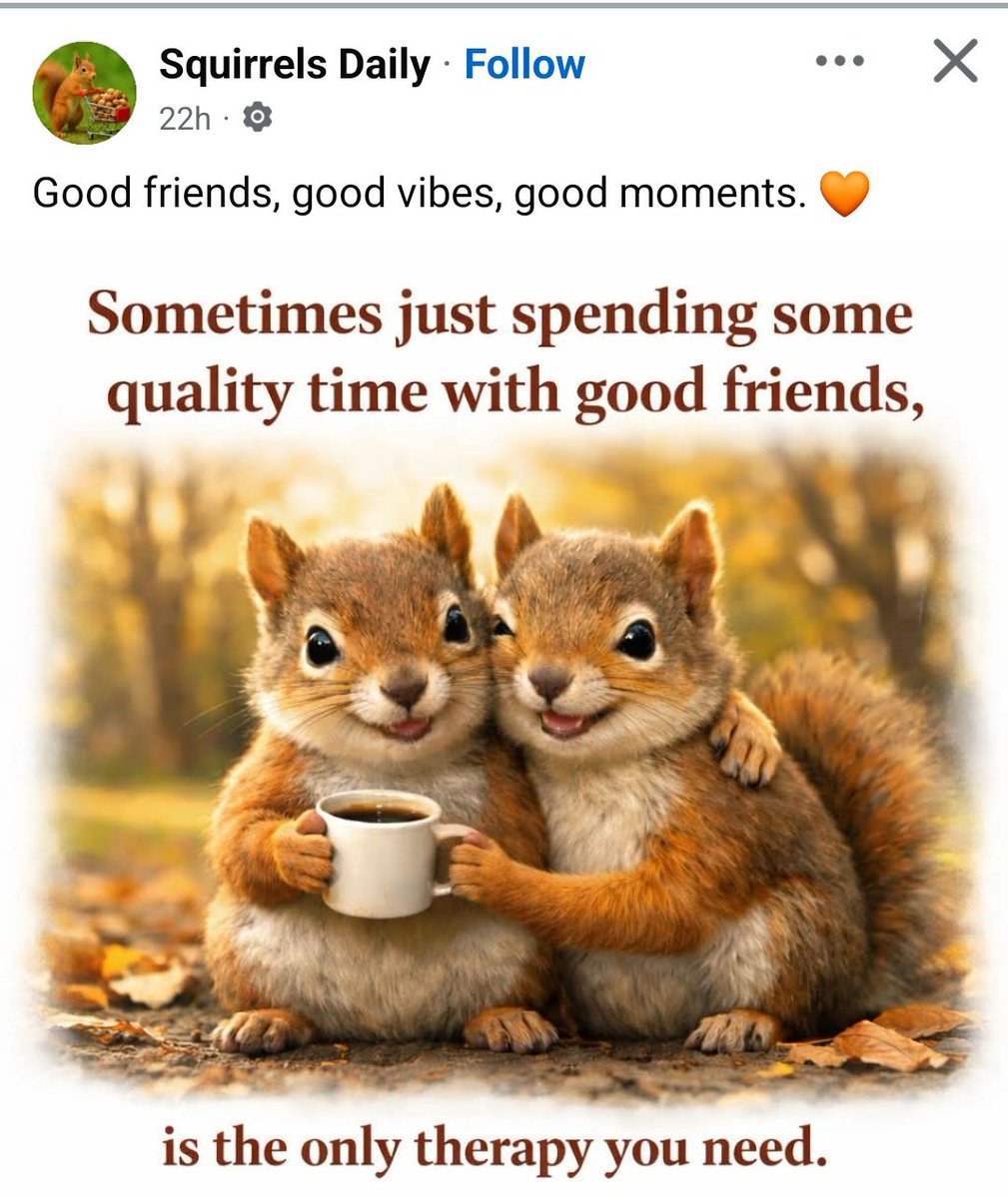 Bonnie MsB 🏡🌲🎨📷🥾☕⛺🏚🦉✍🌞 tweet media