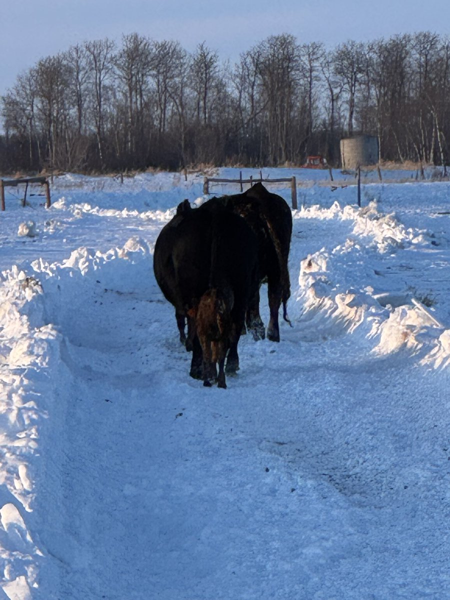 Brad Hockridge tweet media