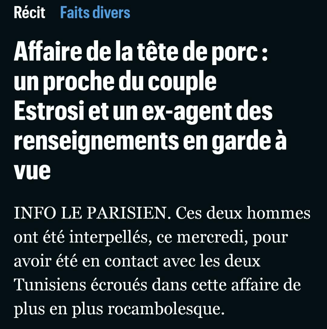 Gravissime, Estrosi aurait monté une fausse affaire d’antisémitisme avec l’aide d’un proche, d’un ex agent de la DST et 2 Tunisiens recrutés pour accrocher une tête de cochon et une affiche antisémite sur son portail