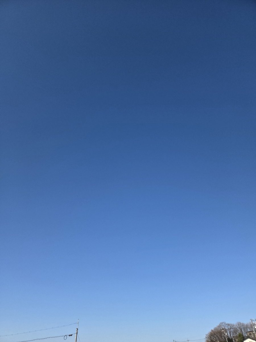 10sakura0519's tweet photo. くるりと360ど
おだやか https://t.co/mJWXUht0Y8