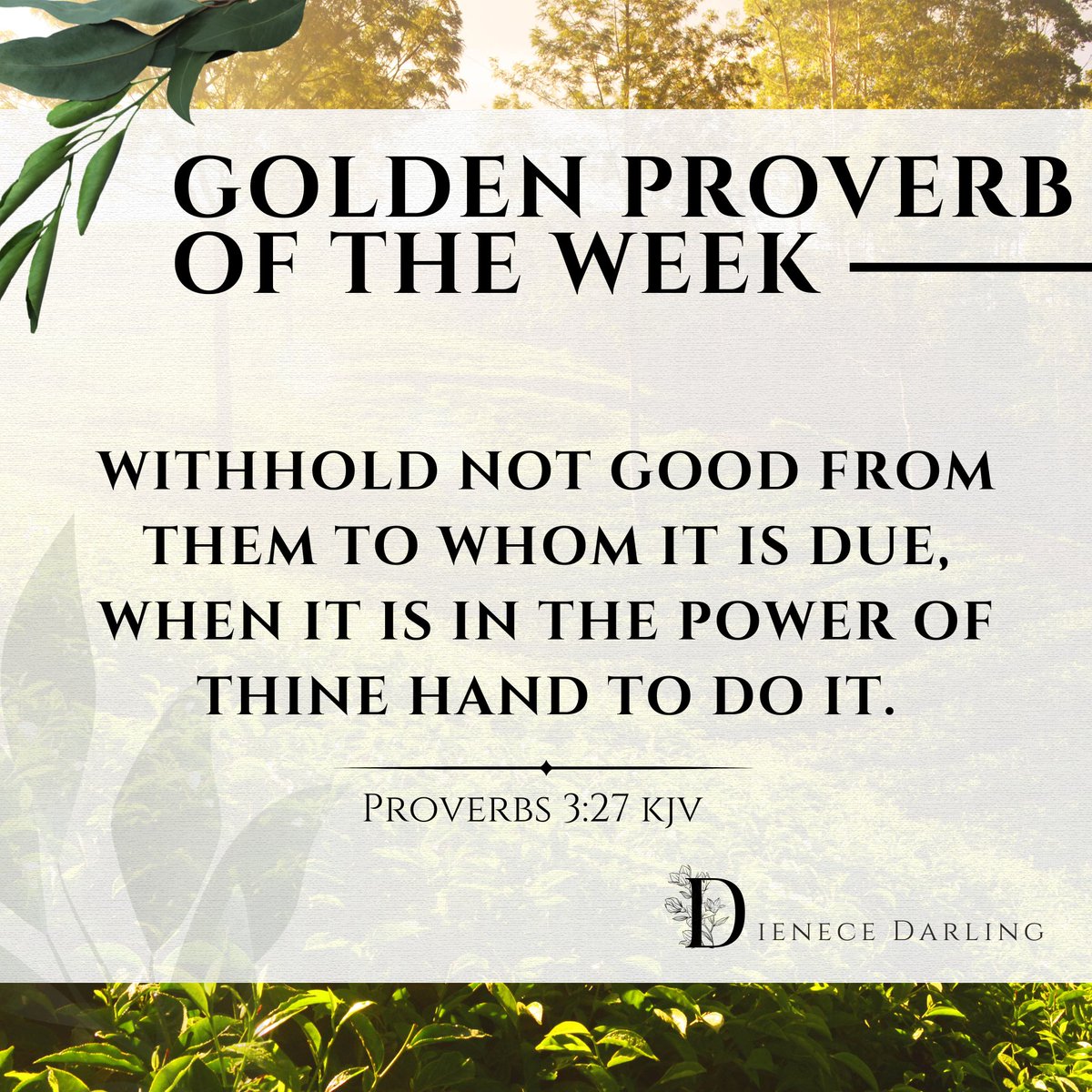 Dienece Darling tweet media