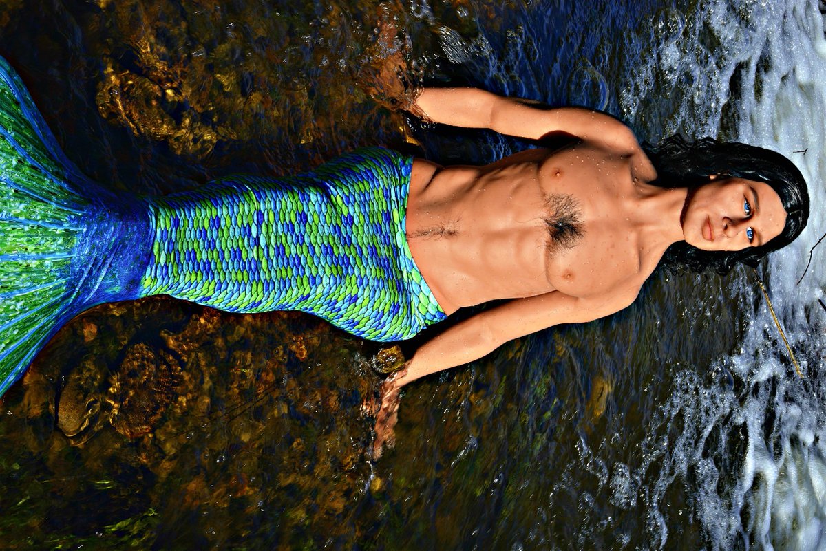 Vanelope Taylor tweet media