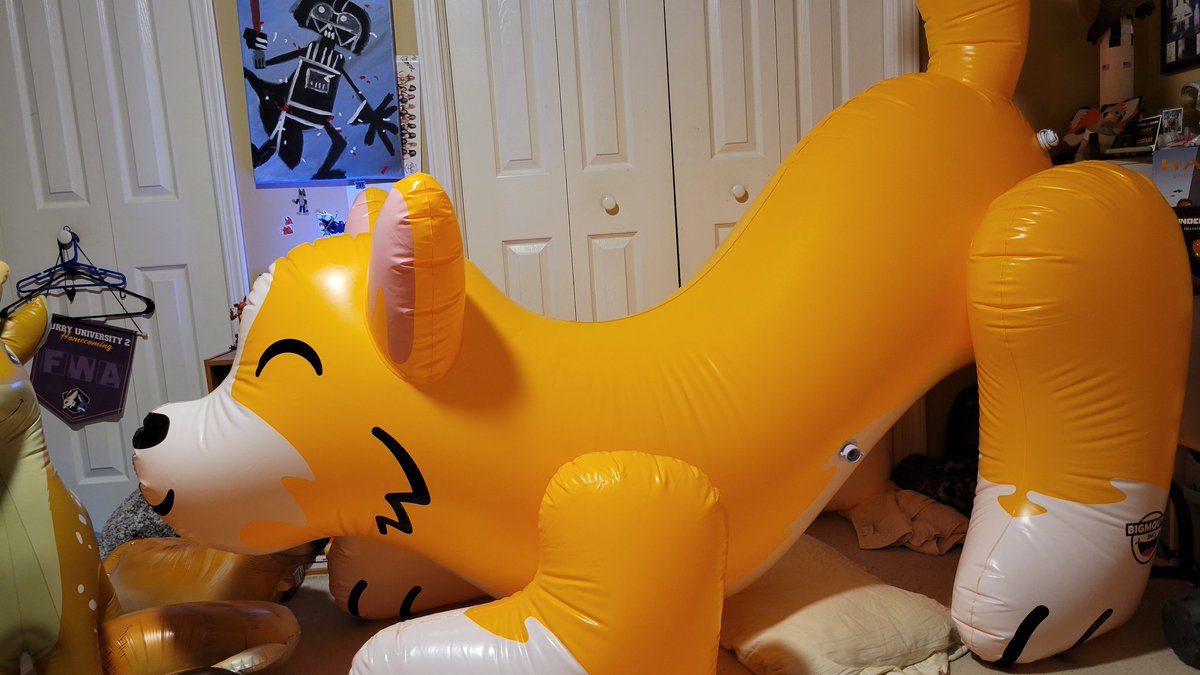 🦊 Ringo & Roxanne's Squeakyposting 🐶 tweet media