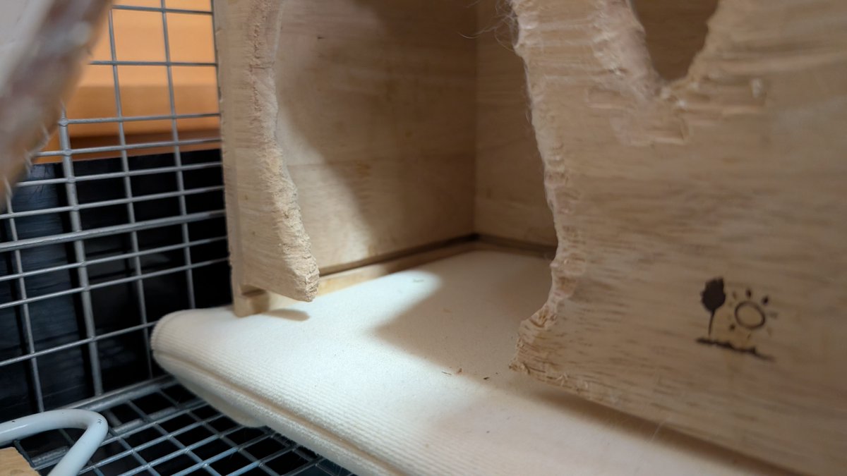 はなげさん tweet media