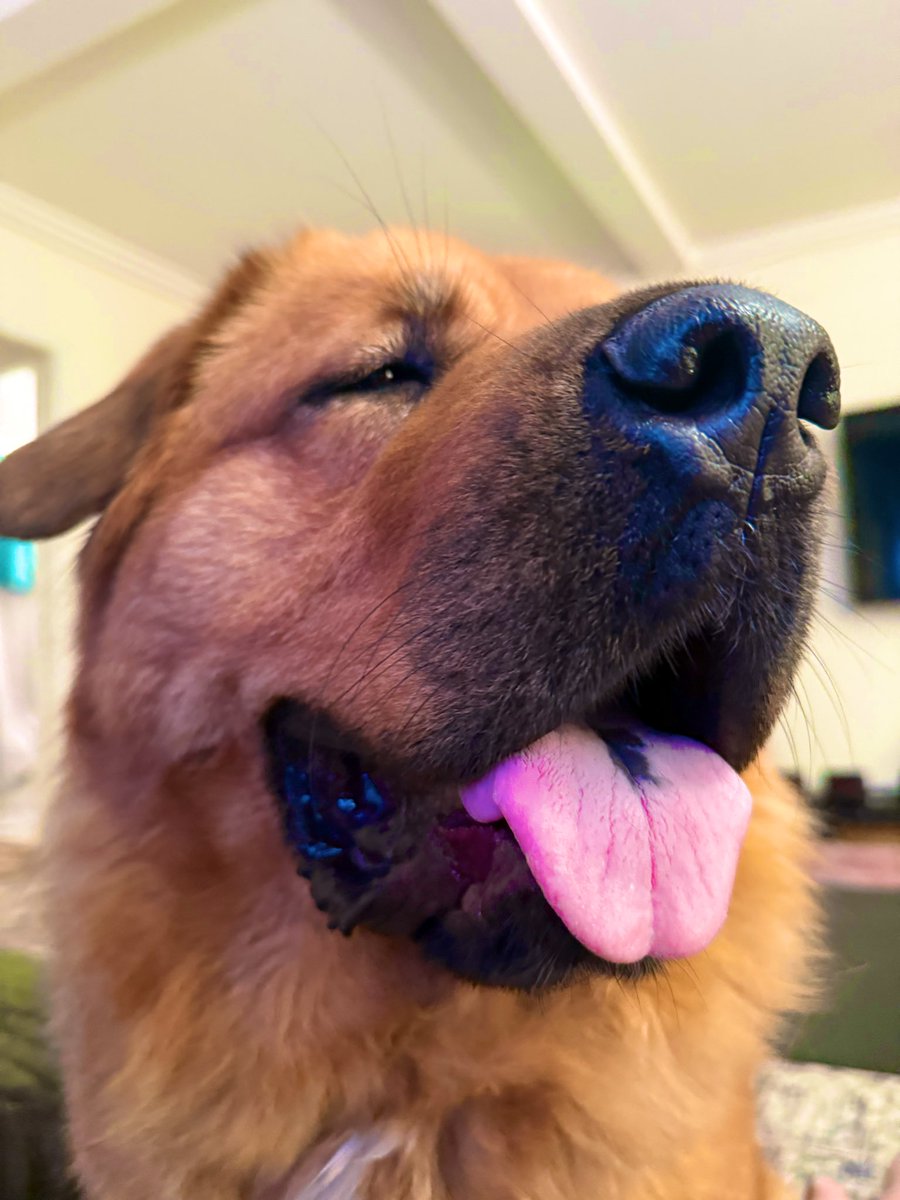 H&D Productions tweet media