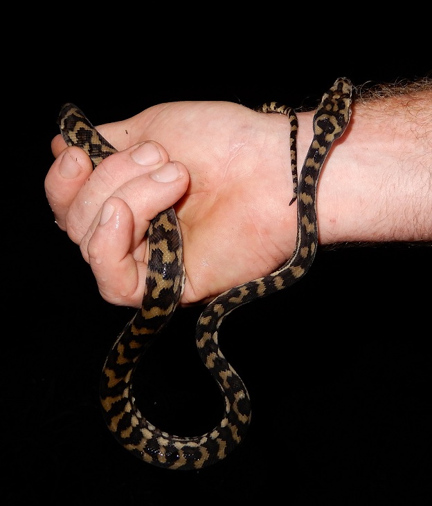 Manami.N tweet media