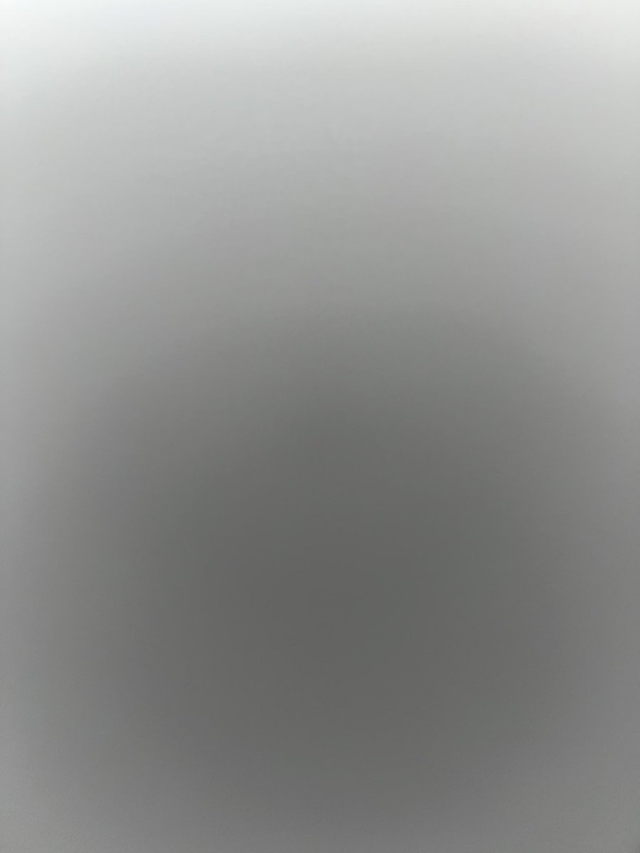 🇩🇿 tweet media