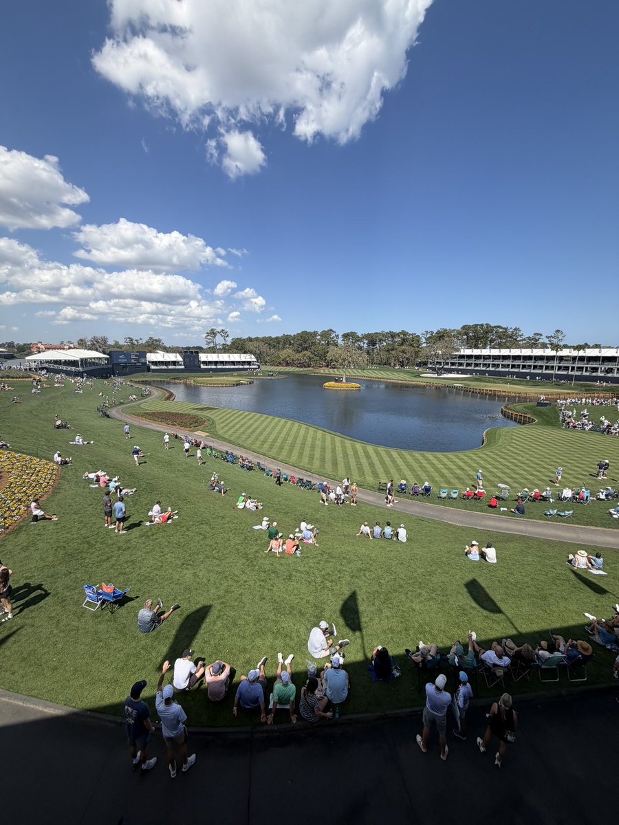 Corey Levine tweet media