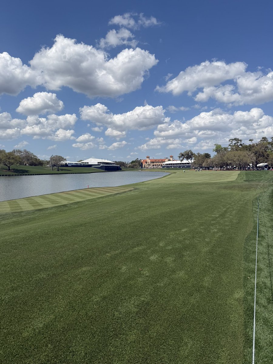 Corey Levine tweet media