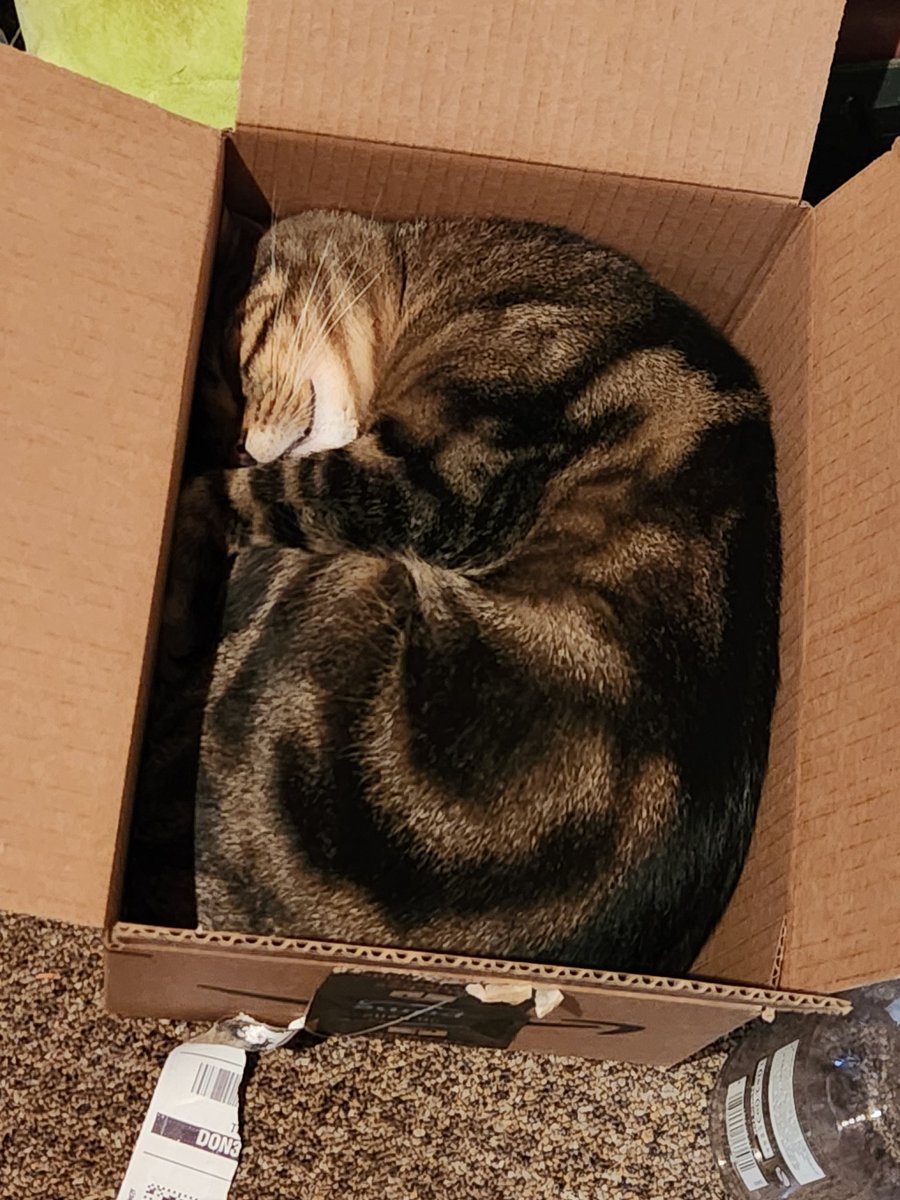 the queen of string style tweet media