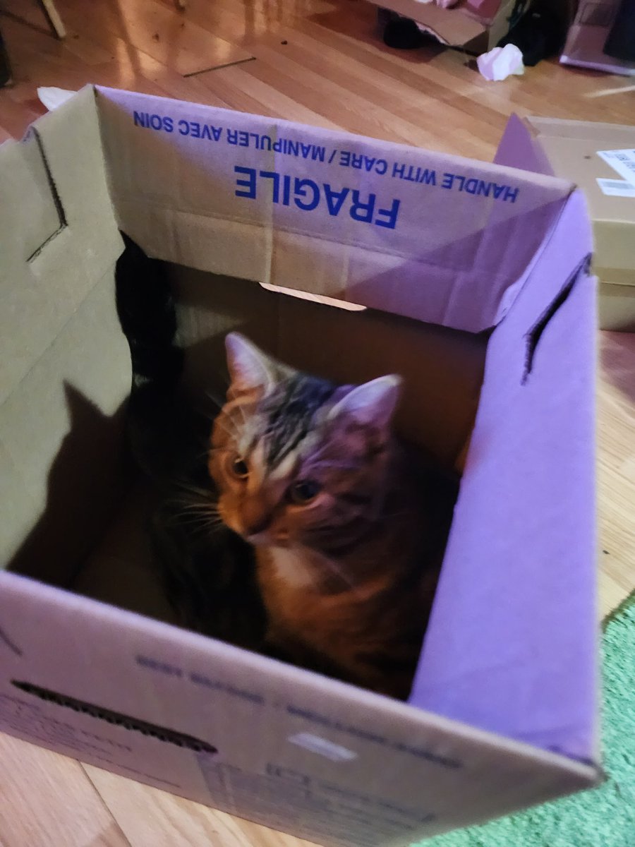 the queen of string style tweet media