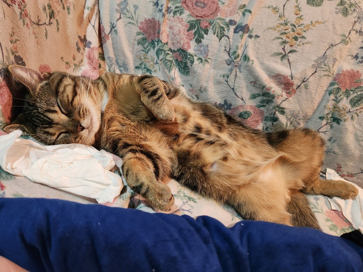 the queen of string style tweet media