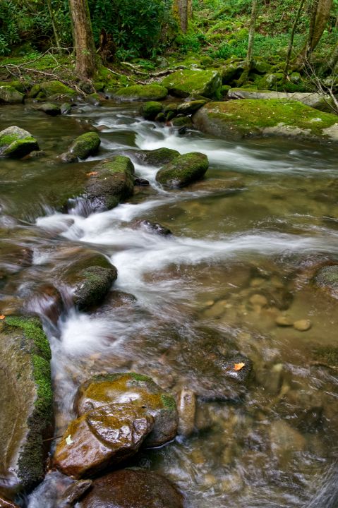 Art of the Day! "Middle Prong Little River 37". Buy at: ArtPal.com/philperkins?i=…