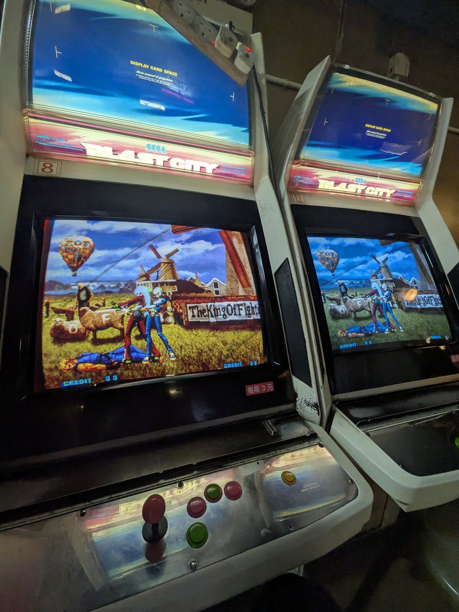 ʕ•ᴥ•ʔ tweet media