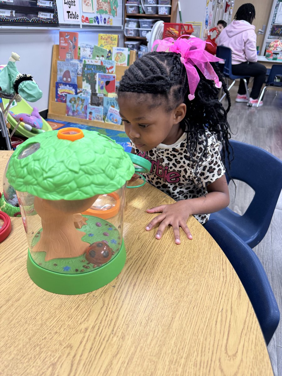 npinilla1's tweet image. #RISD #Prek Has ladybugs in Ms. Pinilla’s class! 🐞 I love watching the wonder &amp;amp; excitement through their lens! #MakeLearningFun We even picked our favorite jumping insect! Plus using #PebbleGo has been a great way to see &amp;amp; learn more about these critters!