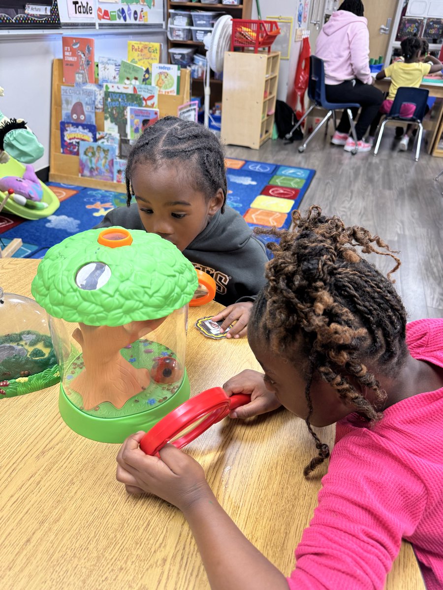 npinilla1's tweet image. #RISD #Prek Has ladybugs in Ms. Pinilla’s class! 🐞 I love watching the wonder &amp;amp; excitement through their lens! #MakeLearningFun We even picked our favorite jumping insect! Plus using #PebbleGo has been a great way to see &amp;amp; learn more about these critters!