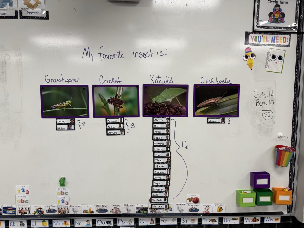 npinilla1's tweet image. #RISD #Prek Has ladybugs in Ms. Pinilla’s class! 🐞 I love watching the wonder &amp;amp; excitement through their lens! #MakeLearningFun We even picked our favorite jumping insect! Plus using #PebbleGo has been a great way to see &amp;amp; learn more about these critters!