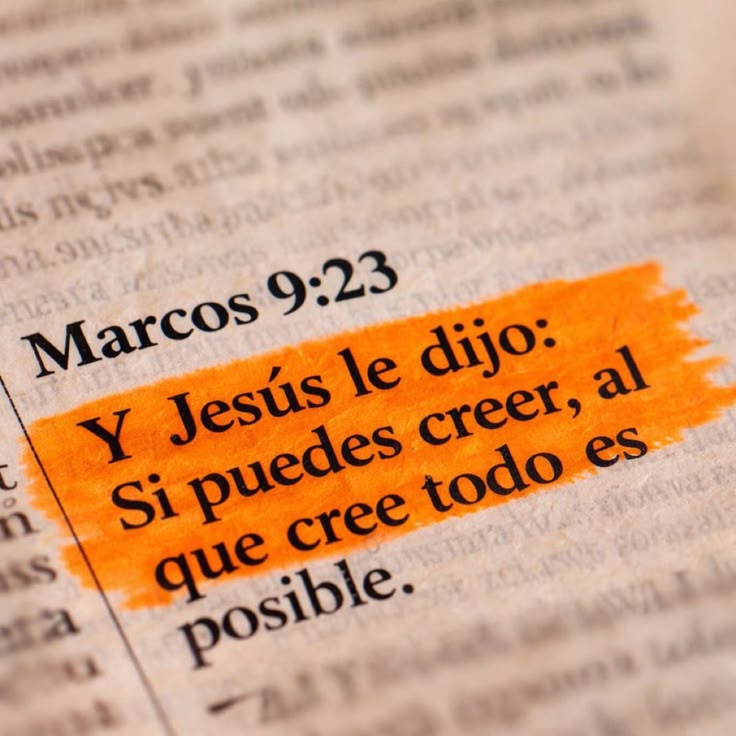 Jesús Nunca Falla tweet media