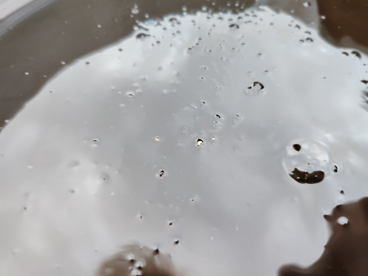 8-Track ✝️ 🇺🇸 tweet media