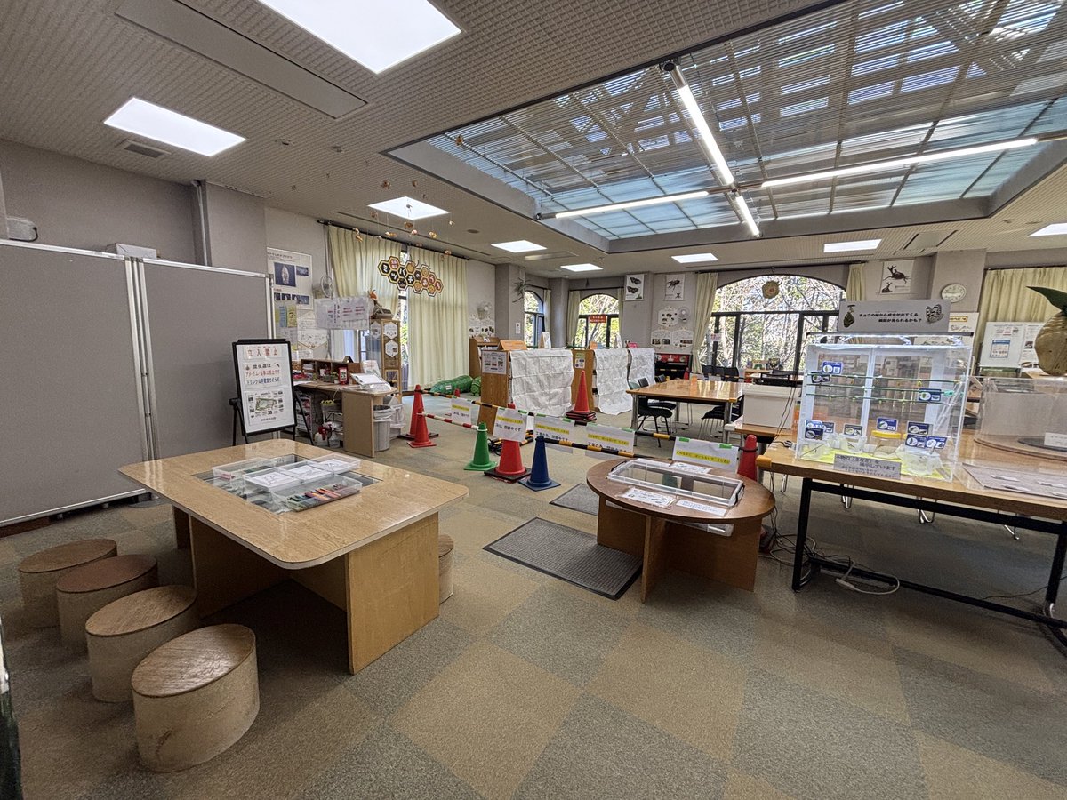 伊丹市昆虫館（公式） tweet media