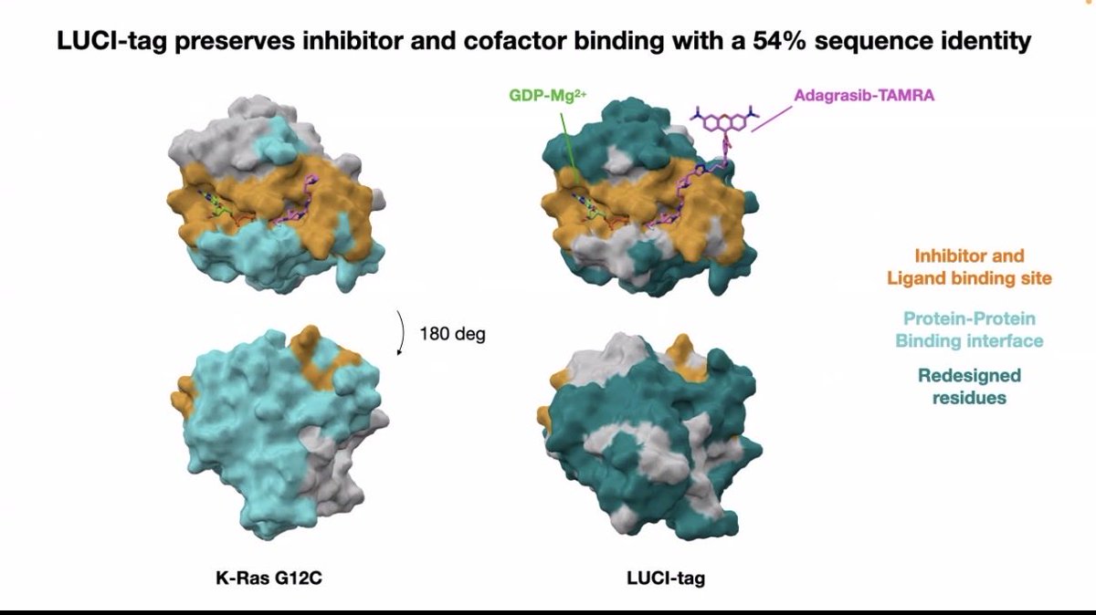MolBioMike tweet media