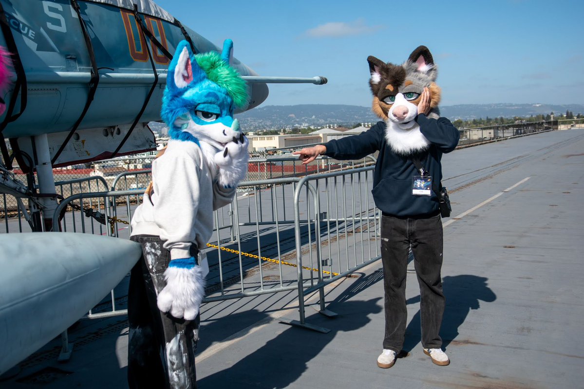 Tecario 🔜 NFC tweet media