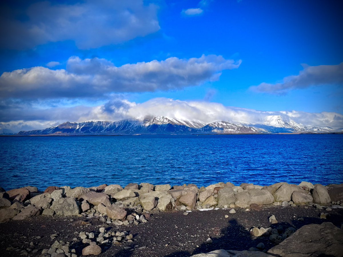 Dominic Manning tweet media