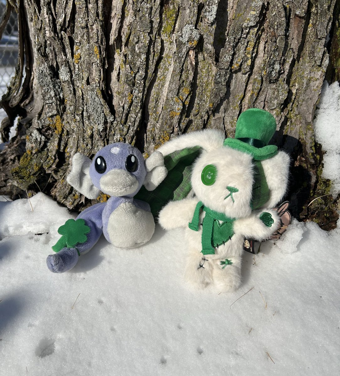 Tammy Krogstad tweet media