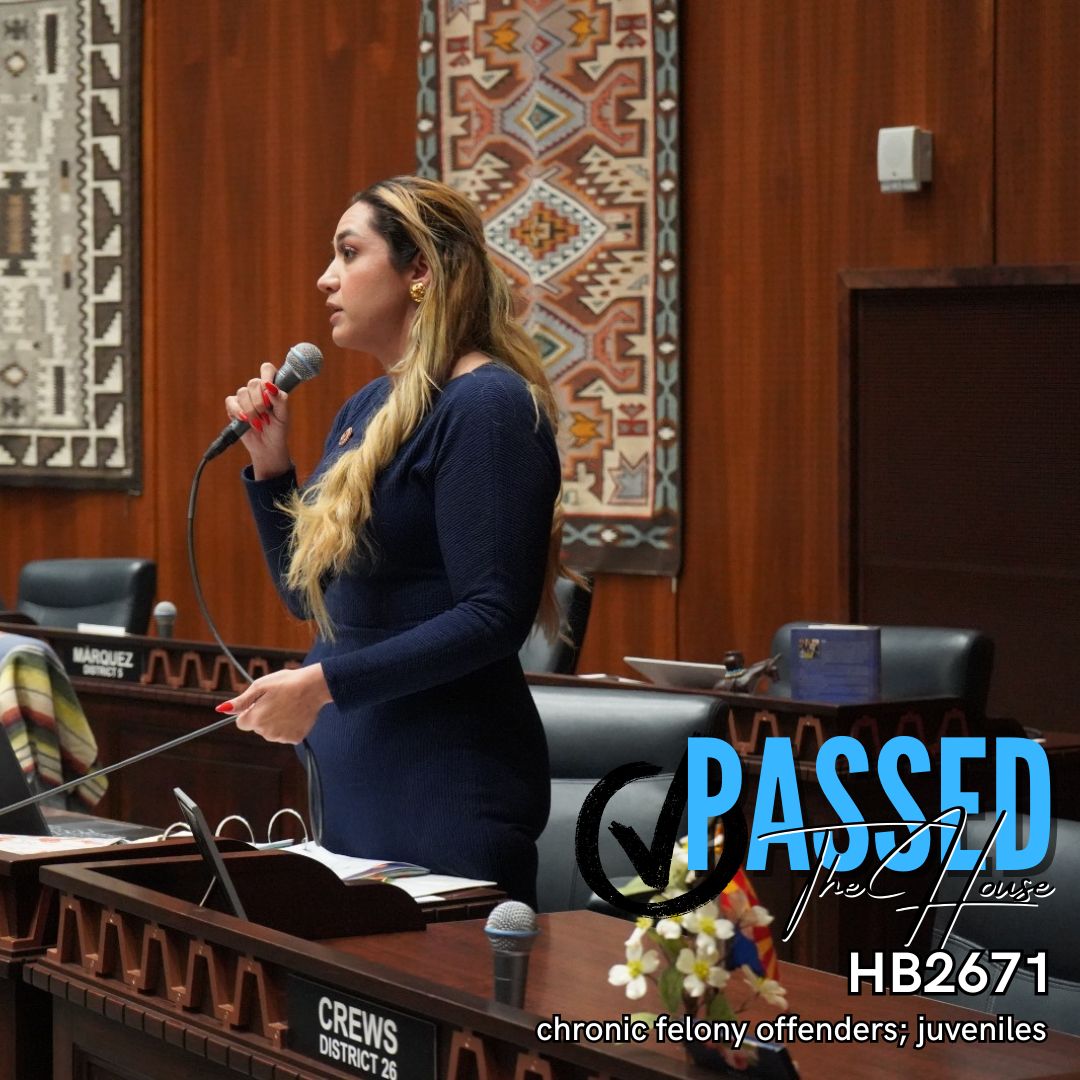 AZHouseDems's tweet image. Congratulations Rep. Consuelo Hernandez! HB2671 clarifies the process by which a juvenile is charged as an adult. The bill passed the House and is headed to the Senate! #azleg
