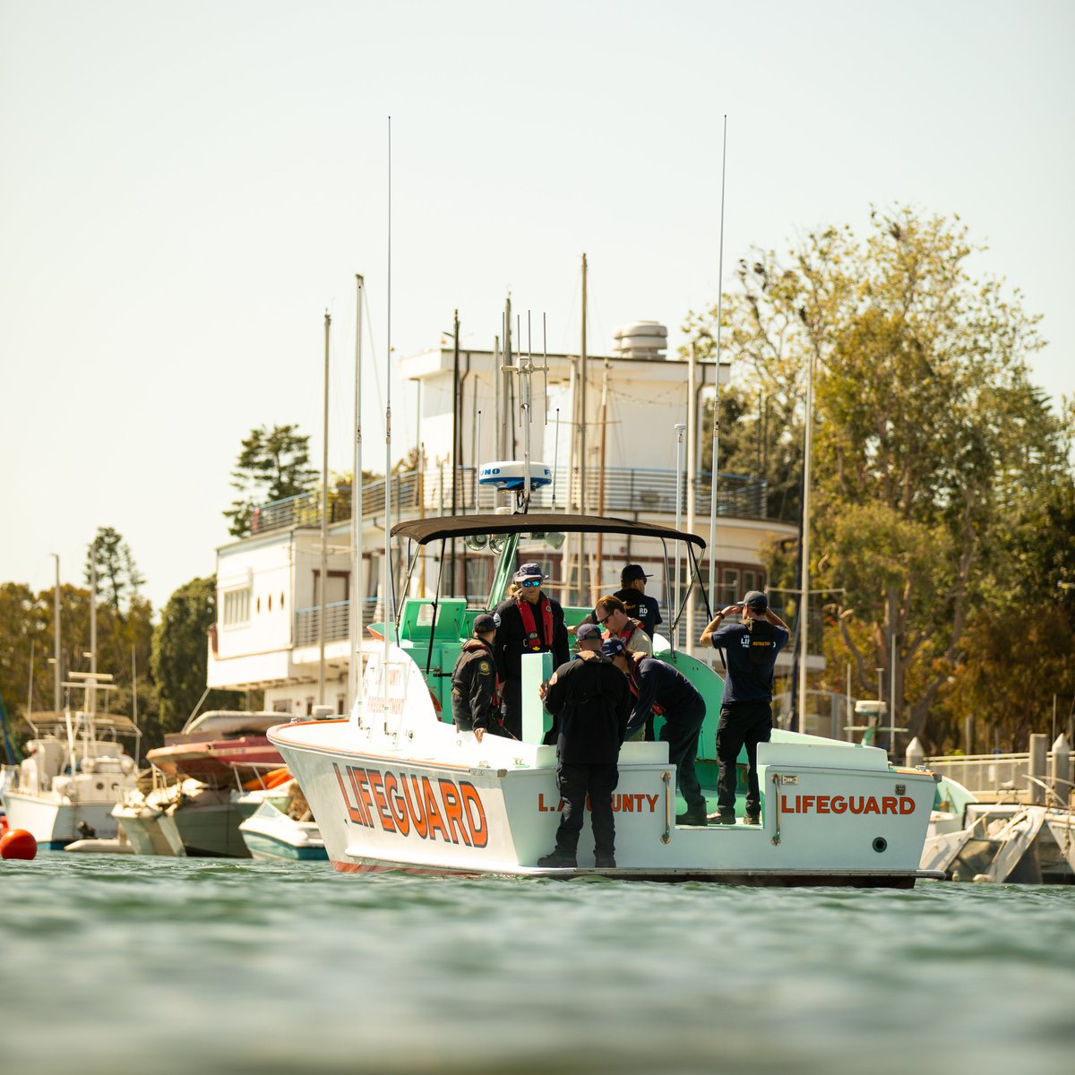 LACoLifeguards tweet media