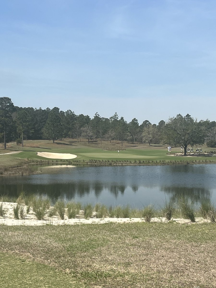 Minnesota Men's Golf tweet media